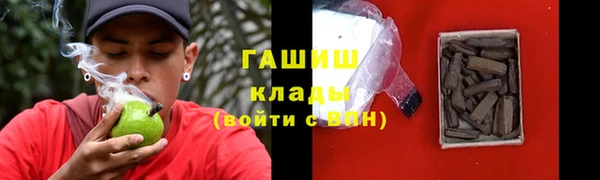 шишки Пересвет