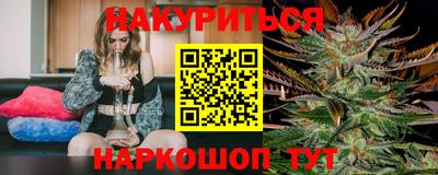 гашик Лесосибирск