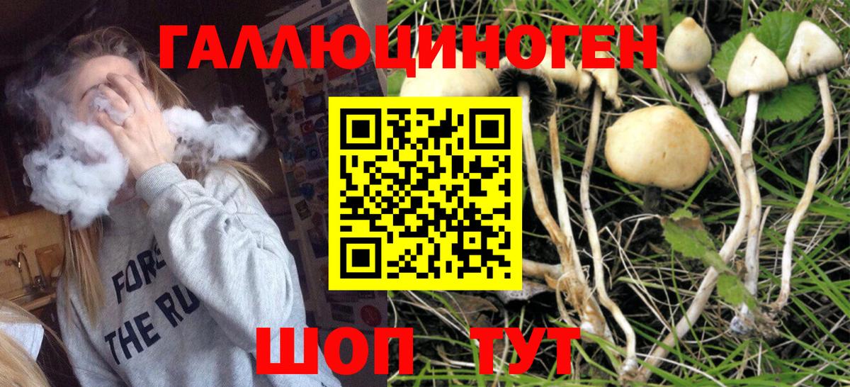 Псилоцибиновые грибы ЛСД Ижевск