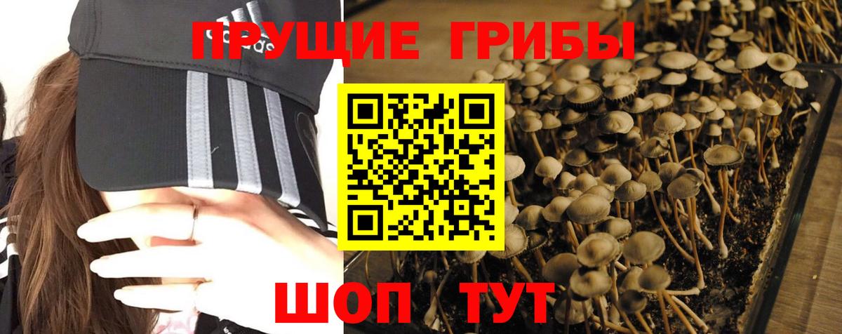 Псилоцибиновые грибы ЛСД  Вход с VPN  Ижевск  Галлюциногенные грибы ЛСД 